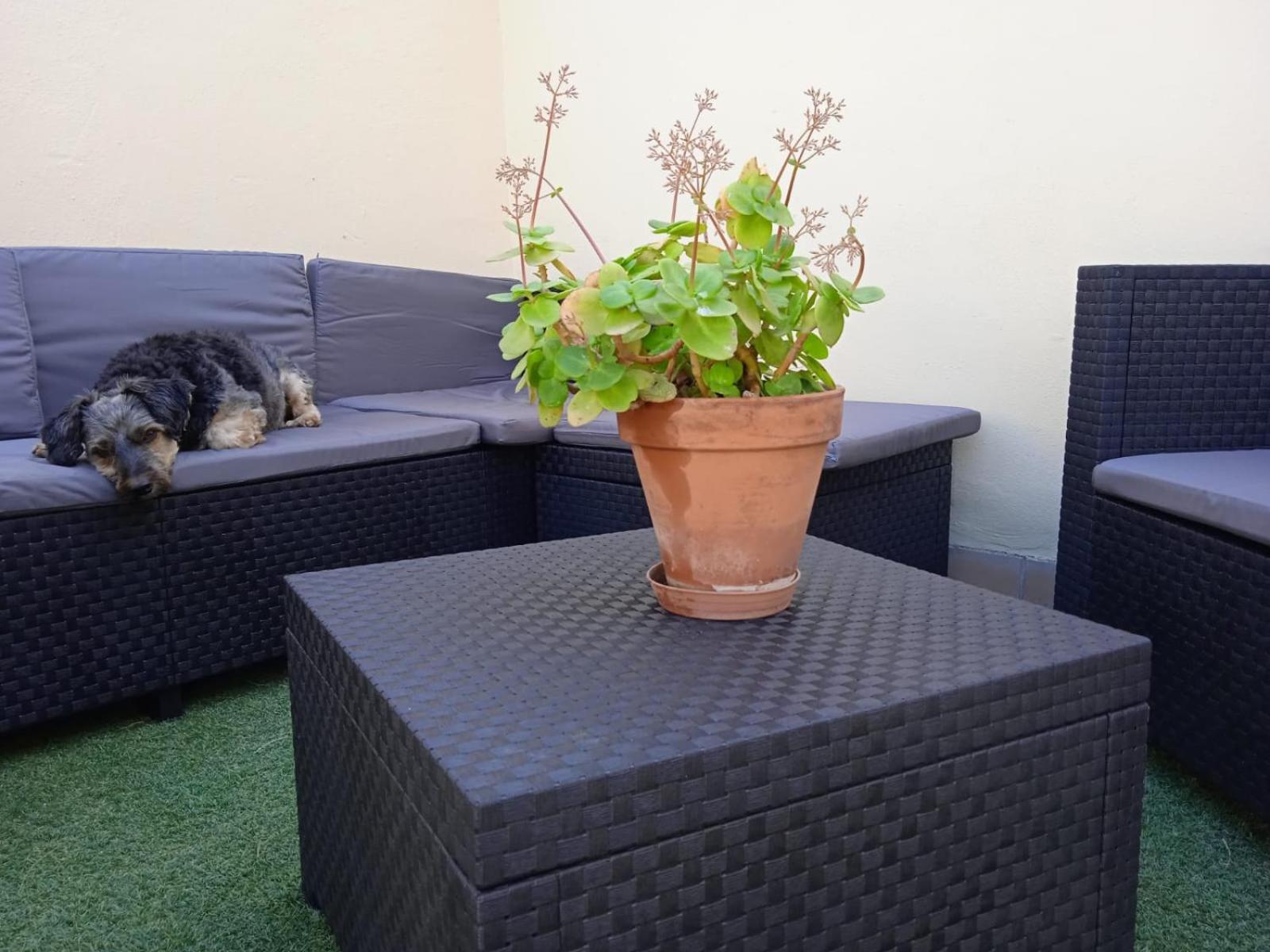 Livingtarifa Apartamento Nano Buitenkant foto
