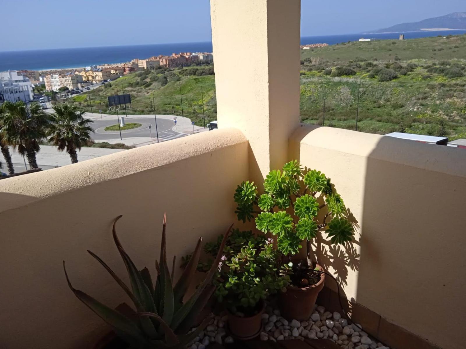 Livingtarifa Apartamento Nano Buitenkant foto