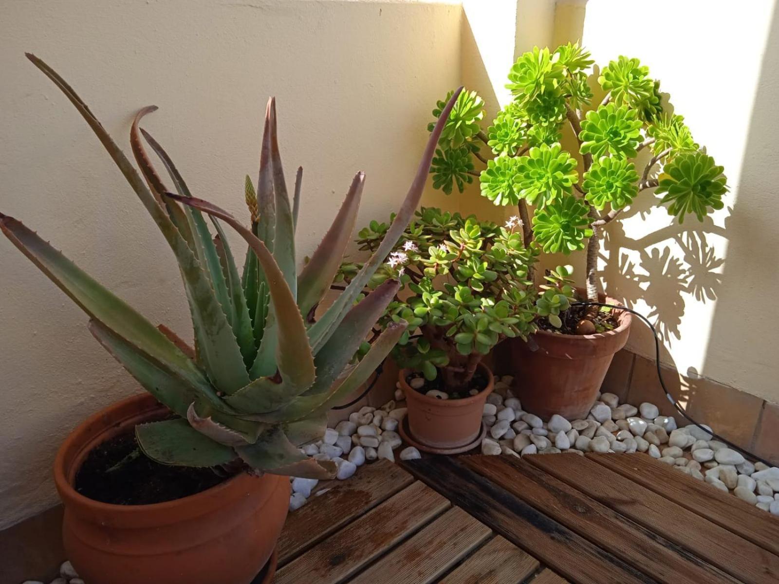 Livingtarifa Apartamento Nano Buitenkant foto